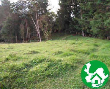 Lote en venta sector Sajonia - Bienes de Antioquia