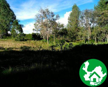 Lote en venta sector Sajonia - Bienes de Antioquia