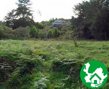 Lote en venta sector Sajonia - Bienes de Antioquia